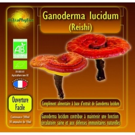 Ganoderma lucidum bio en ampoules : reishi