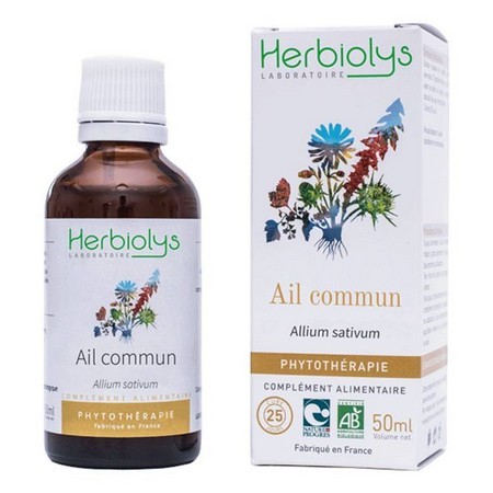 Macéré d'ail commun 50ml